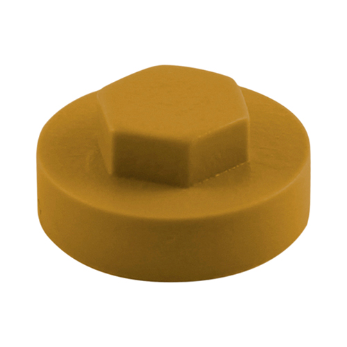 1610E55CAP_w1.jpg Hex Cover Cap - Aztec-16mm