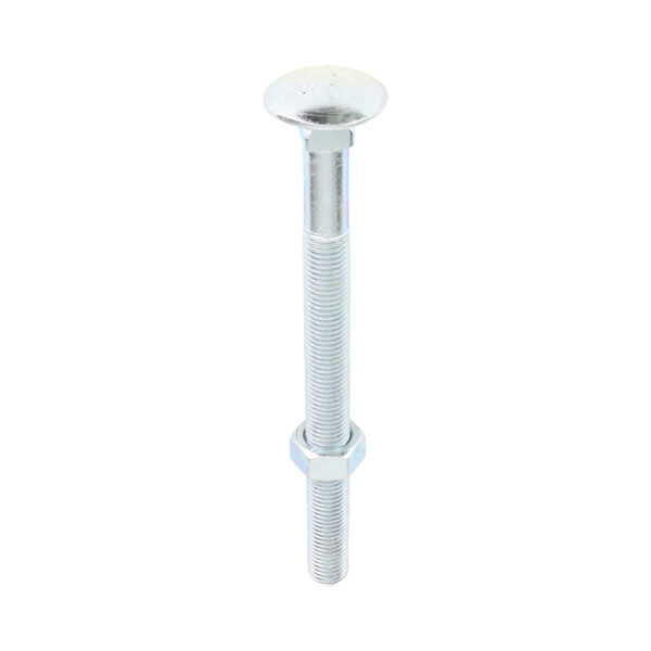 Carriage Bolt & Hex Nut - BZP-M16 x 200