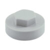 Hex Cover Cap - Oyster-16mm