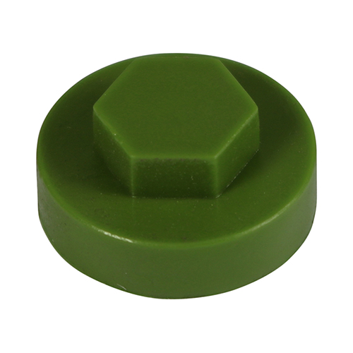1912D45CAP_w1.jpg Hex Cover Cap - Sage-19mm