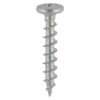 PVC Friction Stay Screw - S/S-4.3 x 16