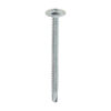 Baypole Screw PH2 - BZP-4.8 x 60