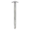 Baypole Screw PH2 - BZP-4.8 x 80