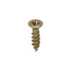 Classic Hinge PZ1 CSK ZYP-3.0 x 12