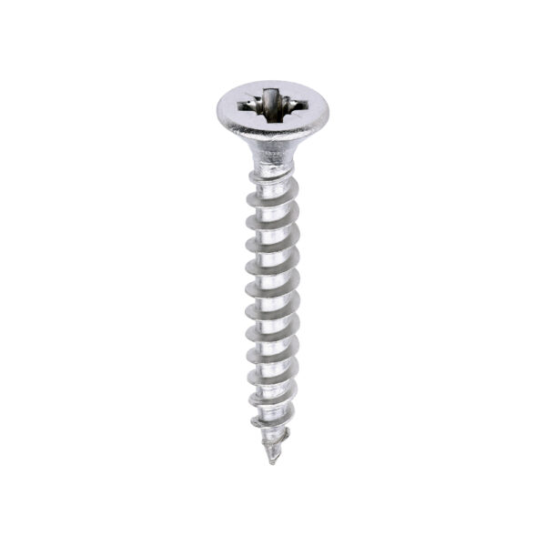 Stacked from 20 images. Method=B (R=8,S=4) Classic Screw PZ2 CSK A2 SS-4.0 x 30