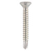 S/Drill PVC Screw CSK - BZP-4.8 x 45