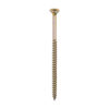 50100VY_w1.jpg Velocity Screw PZ2 CSK ZYP-5.0 x 100