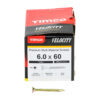 Velocity Screw PZ3 CSK ZYP-6.0 x 60