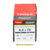 60070VY_w3.jpg Velocity Screw PZ3 CSK ZYP-6.0 x 70