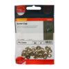 Surface Screw Cup - E/Brass-To fit 6 Gauge Screws