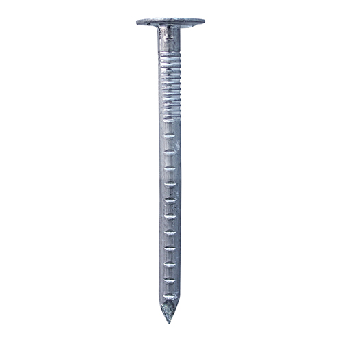 Clout Nail - Aluminium-38 x 3.35