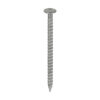 Annular Ringshank Nail -Bright-40 x 2.36