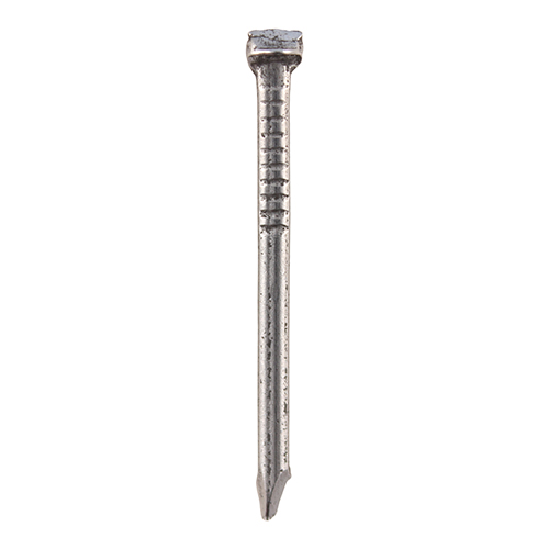 Oval Nail - Bright-50mm