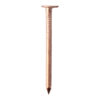 Clout Nail - Copper-50 x 3.35