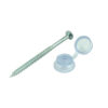 CSFC_w1.jpg Corrugated Sheet Fixings Clear-10 x 3