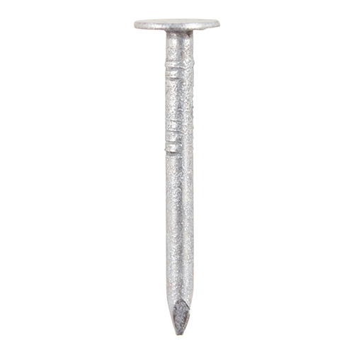 Clout Nail - Galvanised-25 x 2.65