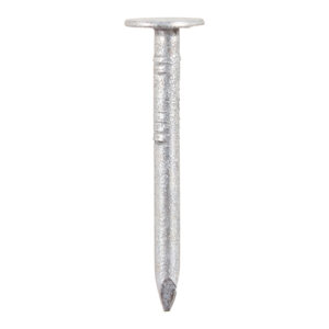 Clout Nail - Galvanised-40 x 3.35