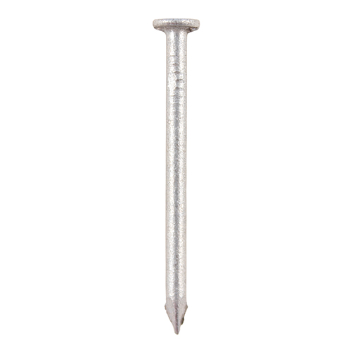 GRW100T_w1.jpg Round Wire Nail - Galvanised-100 x 4.50