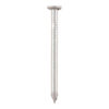 Round Wire Nail - Galvanised-150 x 6.00