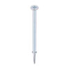 Stacked from 12 images. Method=B (R=8,S=4) WingTip Screw S/DRILL No4 Zinc-5.5 x 100