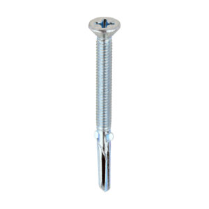 Stacked from 10 images. Method=B (R=8,S=4) WingTip Screw S/DRILL No4 Zinc-5.5 x 65