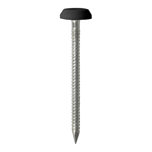 Polymer Headed Nail - Black-50mm