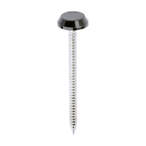 Stacked from 12 images. Method=B (R=8,S=4) Polymer Headed Nail BLACK-50mm