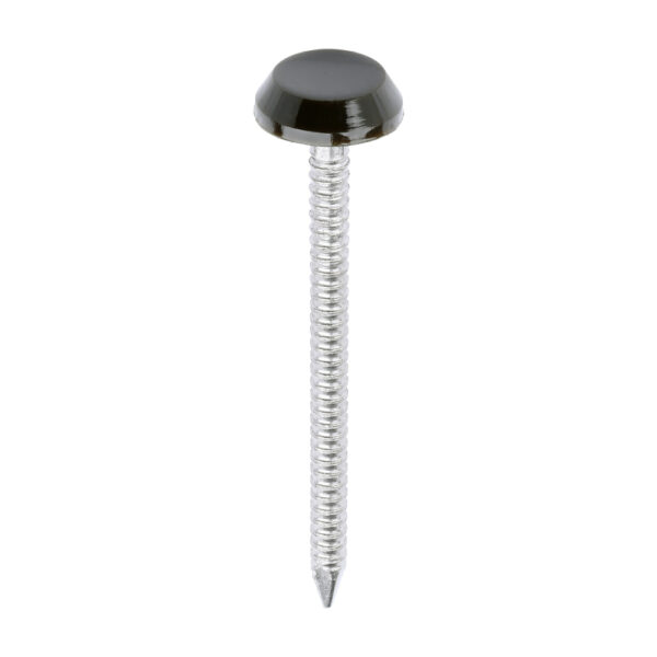 Polymer Headed Nail MAHOGANY-50mm