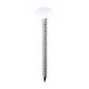 Polymer Headed Nail WHITE-50mm