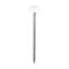 Stacked from 14 images. Method=B (R=8,S=4) Polymer Headed Nail WHITE-65mm