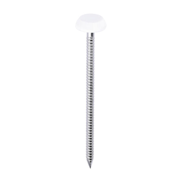 Stacked from 14 images. Method=B (R=8,S=4) Polymer Headed Nail WHITE-65mm