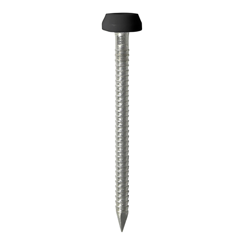 PP30BLP_w1.jpg Polymer Headed Pin - Black-30mm