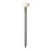 Polymer Headed Pin - White-30mm