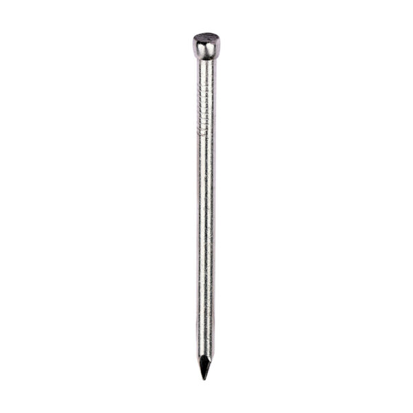 Stacked from 10 images. Method=B (R=8,S=4) Round Lost Head Nail - A2 SS-65 x 3.35