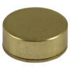 TSC16SBP_w1.jpg Threaded Screw Cap SAT Brass-16mm