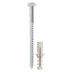 Coach Screw & Nylon Plugs-6.0 x 60
