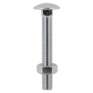 Carriage Bolt & Hex Nut -A2 SS-M10 x 100