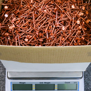 Annular Ringshank Nail -Bright-20 x 2.00